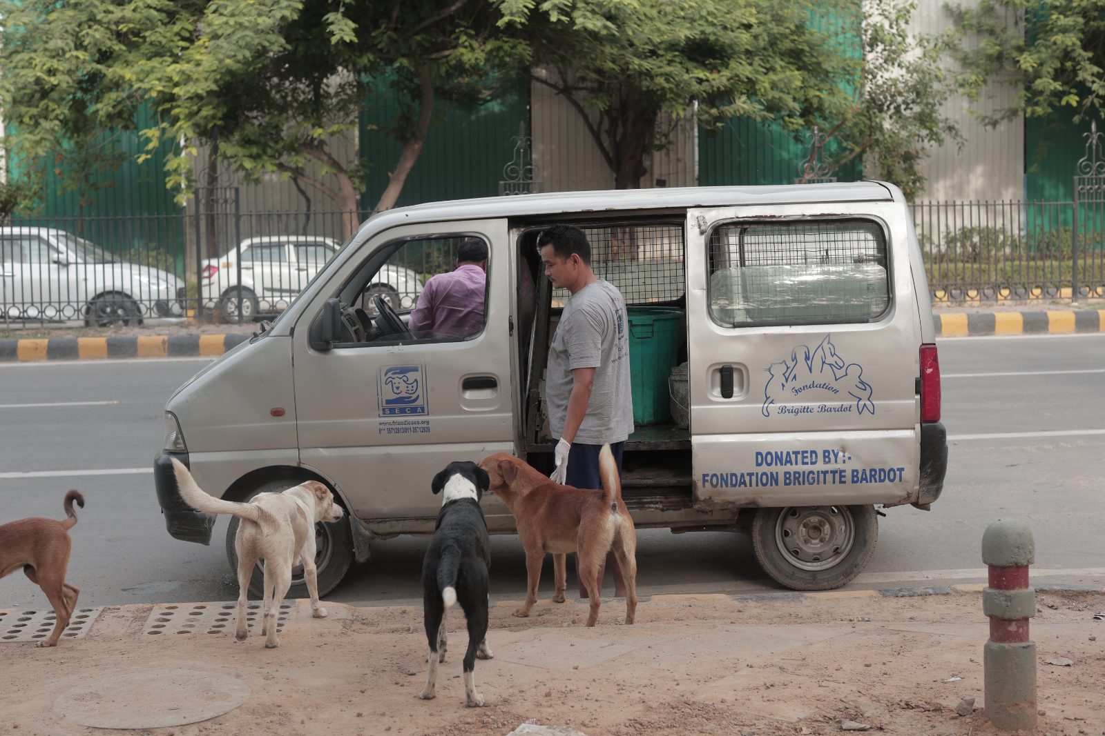 Friendicoes dog van on its daily round